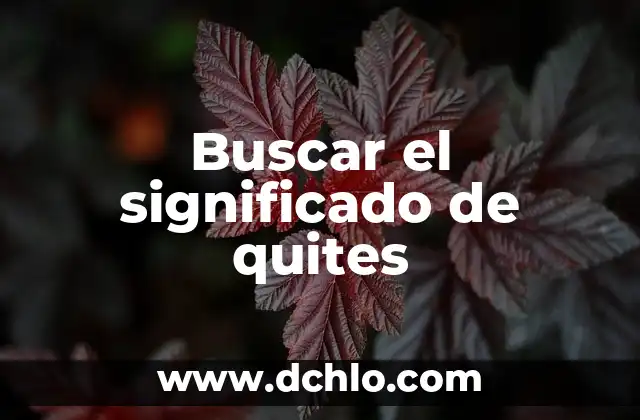 Buscar el Significado de Querrence: Un Viaje a la Búsqueda de la Verdad 8 Buscar el significado de quites