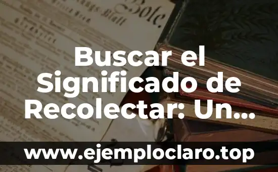 El significado de aguacateco: Un viaje a su origen y cultura 6 Buscar el Significado de Recolectar: Un Viaje al Corazón de la Recolección