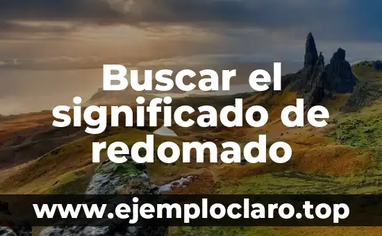 Significado de la Cestería: Un Arte Tradicional 4 Buscar el significado de redomado