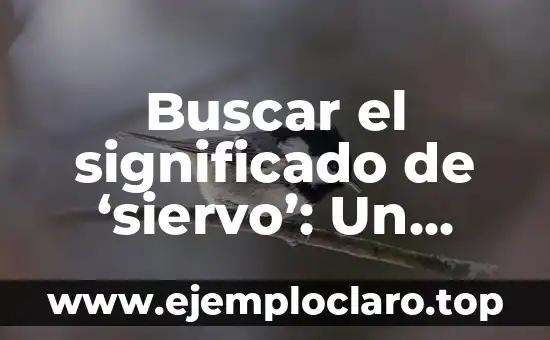 El significado de la Última Cena: Un viaje a través del arte y la espiritualidad 3 Buscar el significado de ‘siervo’: Un viaje al corazón de la espiritualidad y la humildad