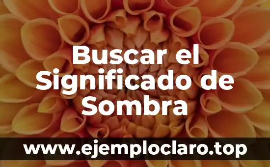 Significado y Origen Etimológico de Historia 7 Buscar el Significado de Sombra
