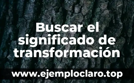 Buscar el Significado de Susana: Un Viaje a Través de la Historia y la Cultura 5 Buscar el significado de transformación