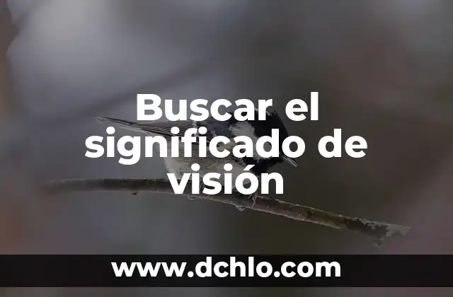 El Concepto de Concominante: Una visión integral 4 Buscar el significado de visión