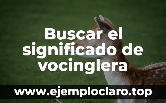 Significado de Divisar y sus Aplicaciones Prácticas 3 Buscar el significado de vocinglera
