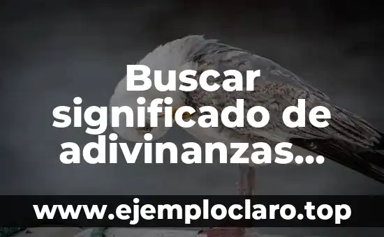 Buscar significado de adivinanzas tradicionales: Un viaje a la sabiduría cultural