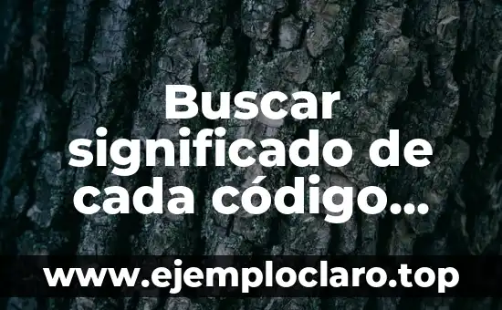 Buscar el significado de la palabra libertad 3 Buscar significado de cada código C++