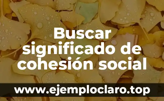 Buscar significado de cohesión social