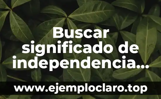 Buscar significado de independencia historia - Un viaje a través del tiempo