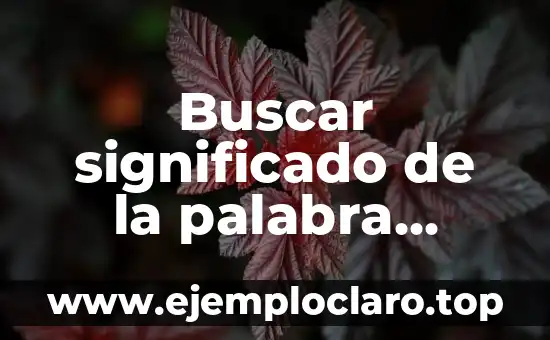 Budismo, la religión de China: significado y esencia 4 Buscar significado de la palabra paliativo