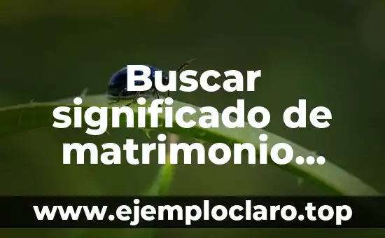 Buscar significado de independencia historia - Un viaje a través del tiempo 7 Buscar significado de matrimonio religioso