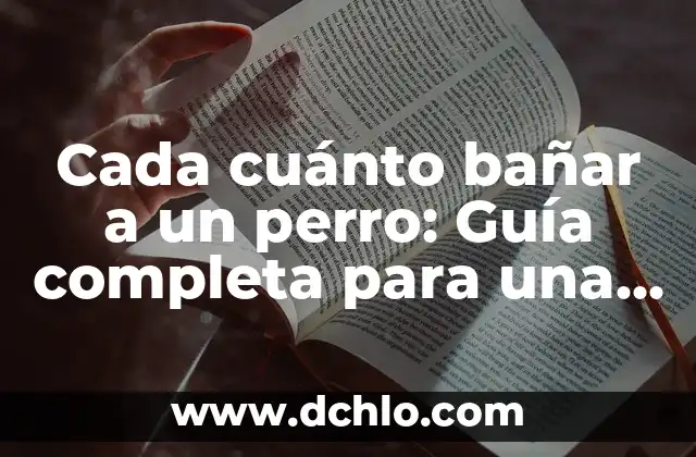 Significado de Pug: Todo Sobre esta Raza Canina 6 Cada cuánto bañar a un perro: Guía completa para una higiene canina óptima