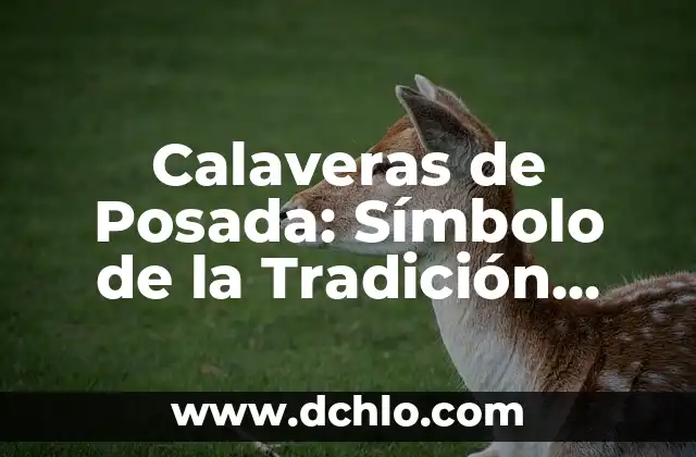 El Significado del 14 de Febrero en la Tradición Hebrea 6 Calaveras de Posada: Símbolo de la Tradición Mexicana