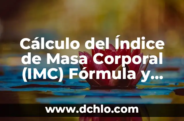 El Concepto Fundamental de la Masa Molar en Química 8 Cálculo del Índice de Masa Corporal (IMC) Fórmula y Significado