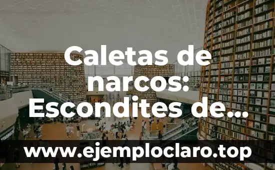 Caletas de narcos: Escondites de los cárteles de la droga