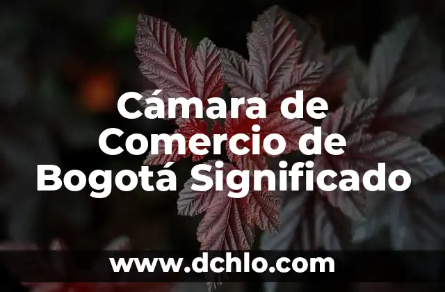 Significado de las Flores de Jazmín: Más Allá de su Belleza 5 Cámara de Comercio de Bogotá Significado