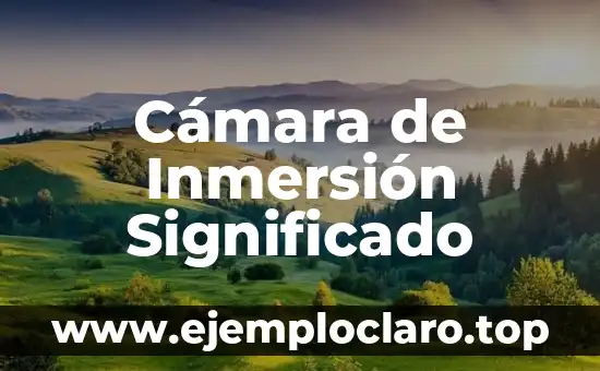 Inmersión total: significado y sinónimos 3 Cámara de Inmersión Significado