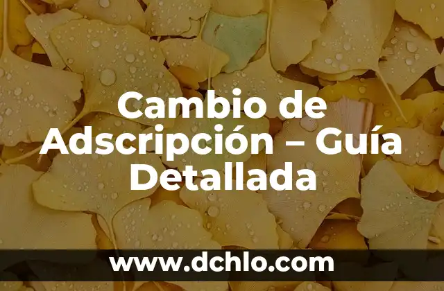 Película de Chiquito de la Calzada: Una Visión Detallada de la Iconografía Española 5 Cambio de Adscripción – Guía Detallada