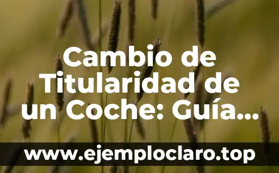 Nombres de Bebés con Significado: Una Guía Esencial 7 Cambio de Titularidad de un Coche: Guía Completa y Actualizada