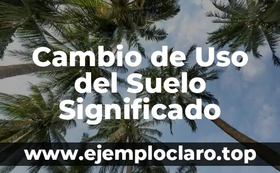 Tasa de Cambio: Concepto y Relevancia Económica 4 Cambio de Uso del Suelo Significado