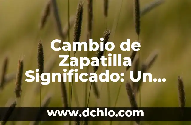 Adidas' Adizero Adios Pro Evo 1 - La Zapatilla de Carrera más Rápida del Mundo 4 Cambio de Zapatilla Significado: Un Análisis Detallado