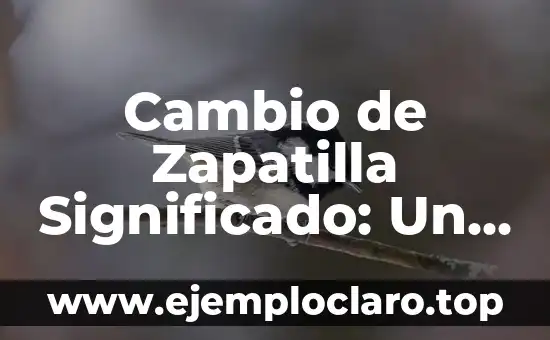Cambio de Zapatilla Significado: Un Análisis Detallado