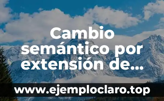 Tasa de Cambio: Concepto y Relevancia Económica 3 Cambio semántico por extensión de significados
