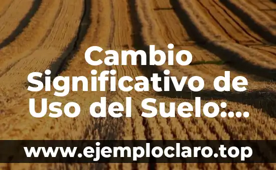 Comunidad de Bienes y Adquisiciones: Un Concepto Legal Integral 8 Cambio Significativo de Uso del Suelo: Un Enfoque Integral