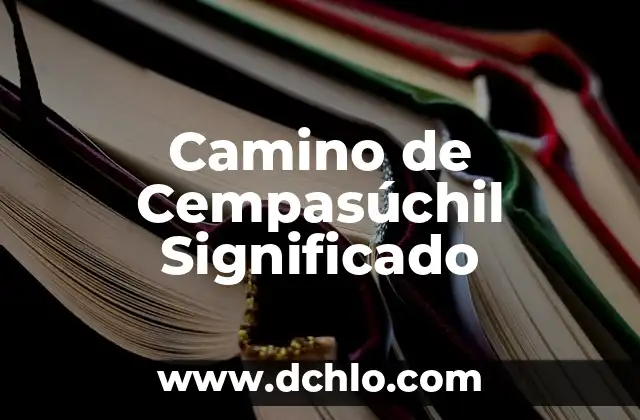 Flores de Cempasúchil que significan 7 Camino de Cempasúchil Significado
