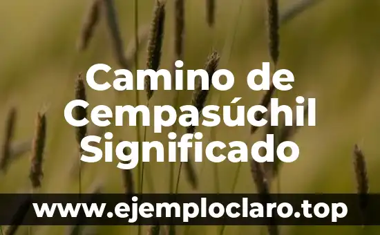 Camino de Cempasúchil Significado