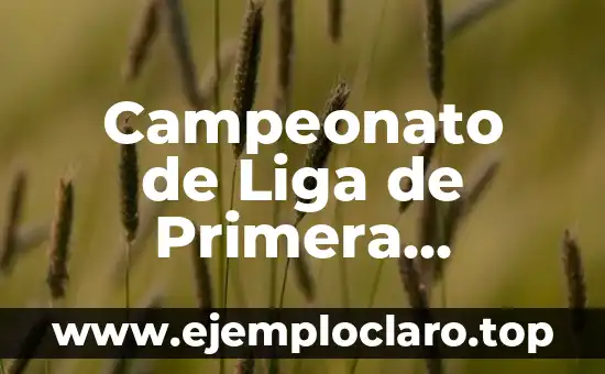 Campeonato de Liga de Primera División: Todo lo que Necesitas Saber