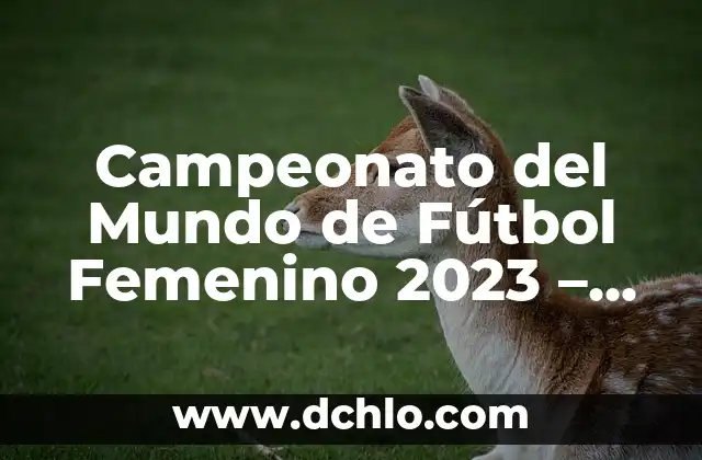 Cómo ha quedado la carrera de MotoGP: Una visión general del campeonato 7 Campeonato del Mundo de Fútbol Femenino 2023 – Todo lo que Debes Saber