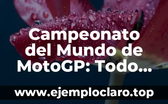Campeonato del Mundo de MotoGP: Todo lo que Necesitas Saber