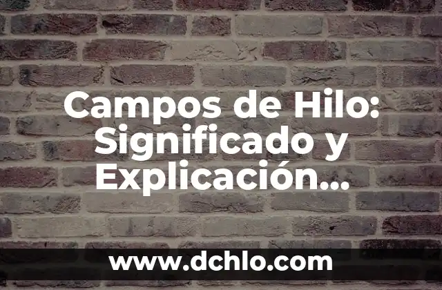 Base de Datos: Significado y Campos Explorado a Fondo 6 Campos de Hilo: Significado y Explicación Detallada