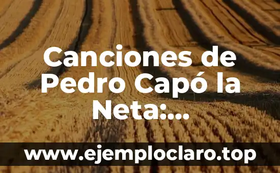 Canciones de Pedro Capó la Neta: Explorando el Sonido del Artista Puertorriqueño