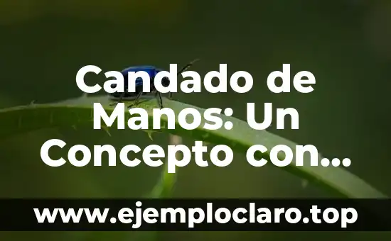 Candado de Manos: Un Concepto con Profundidad