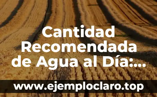 ¿Es malo beber mucha agua y orinar mucho? Descubre la verdad 8 Cantidad Recomendada de Agua al Día: ¿Cuánta Agua Debes Beber?