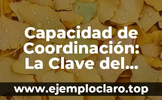 Concepto, definición y significado de coordinación 8 Capacidad de Coordinación: La Clave del Éxito en Diversas Actividades