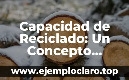Capacidad de Reciclado: Un Concepto Esencial para el Medio Ambiente