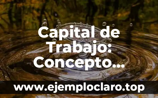 Capital de Trabajo: Concepto Fundamental en Finanzas Empresariales
