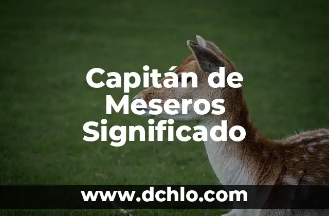 Cómo hacer el escudo del Capitán América casero 7 Capitán de Meseros Significado
