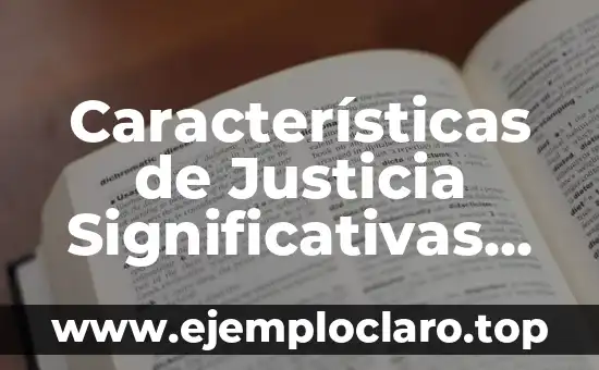 Características de Justicia Significativas de Solidaridad
