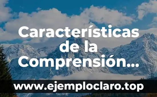 Término de Significado de Repartir: Comprensión del Concepto 4 Características de la Comprensión de Significados