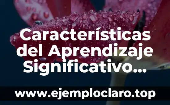Ausubel y la Teoría del Aprendizaje Significativo: Un Enfoque Educativo Innovador 8 Características del Aprendizaje Significativo con Ejemplos