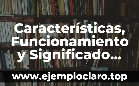 Características, significado y definición de Injuve 8 Características, Funcionamiento y Significado de los Telescopios