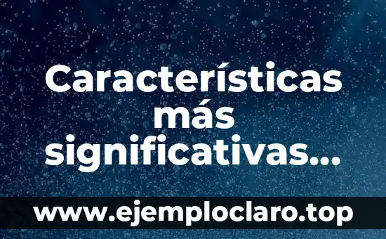 Características de Justicia Significativas de Solidaridad 4 Características más significativas de la democracia