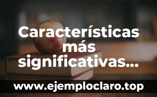 Características, significado y definición de Injuve 6 Características más significativas de los suelos