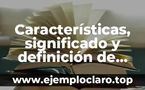 Características, significado y definición de Injuve