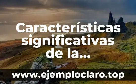 Características, significado y definición de Injuve 4 Características significativas de la investigación básica: Una guía completa