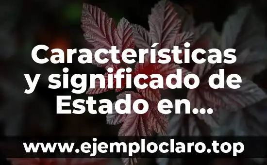 Características, significado y definición de Injuve 3 Características y significado de Estado en Sociología