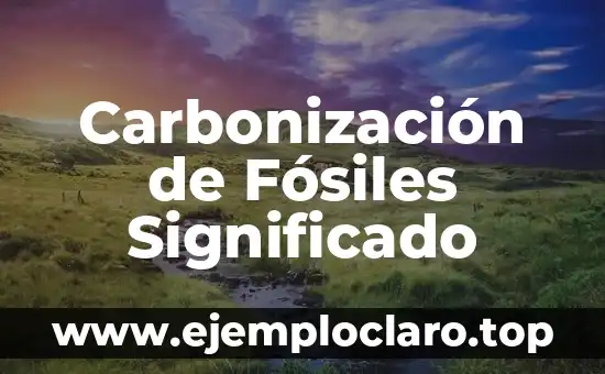 Cristalización de Fósiles: Un Mundo de Preservación y Belleza Geológica 5 Carbonización de Fósiles Significado